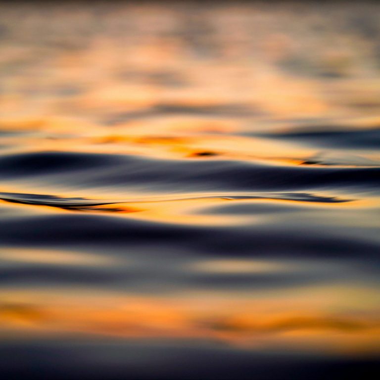 ¿Cómo puede la inteligencia artificial ayudarnos a luchar contra el cambio climático?