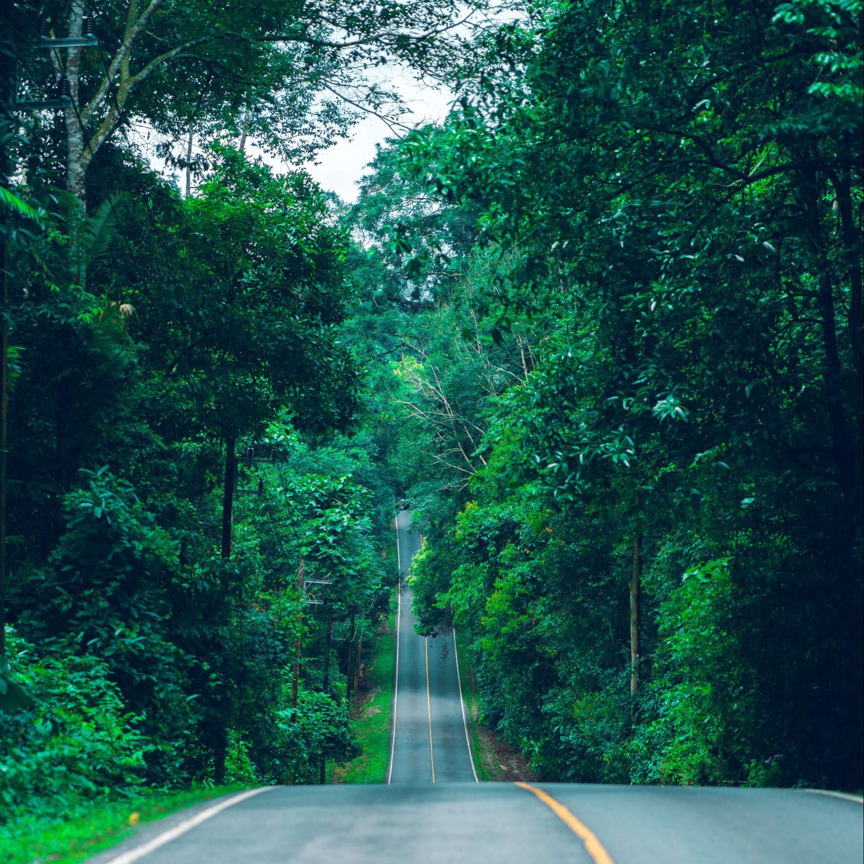 Construir un mundo Net Zero