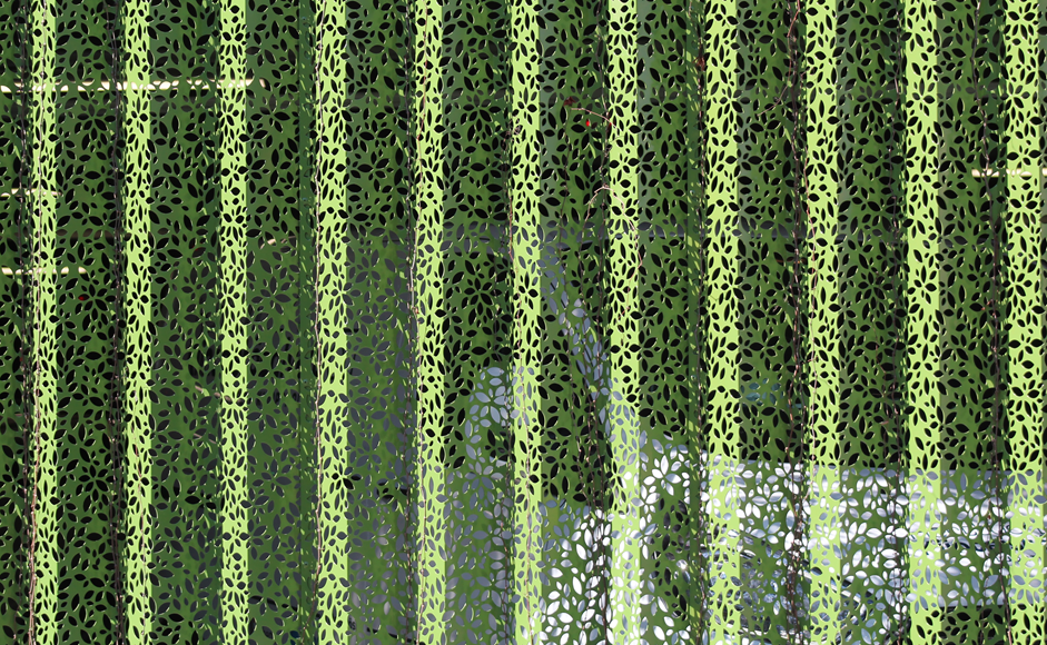 Objetivo NetZero: Biocombustibles