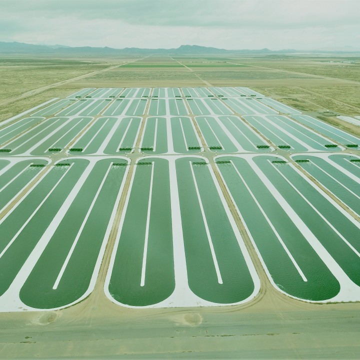 Transformación de desiertos en zonas de cultivo